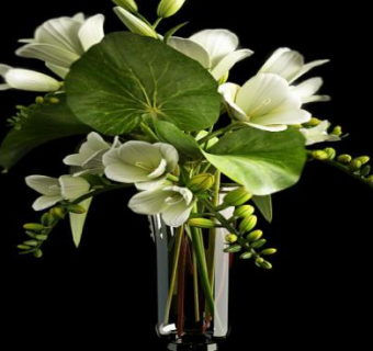 玻璃花瓶白色花卉SU模型下载_sketchup草图大师SKP模型