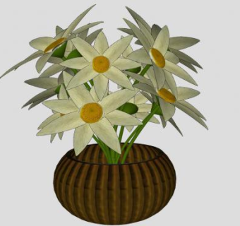 白色的花和花瓶SU模型下载_sketchup草图大师SKP模型