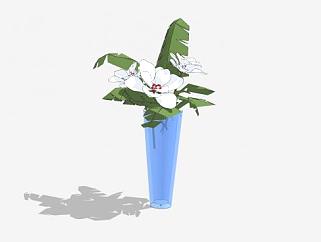 陈设<em>观赏</em>花瓶植物SU模型下载_sketchup草图大师SKP模型