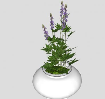 白瓷瓶观赏植株SU模型下载_sketchup草图大师SKP模型