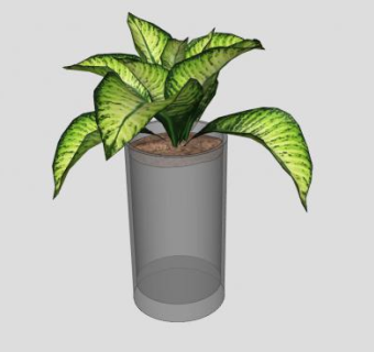 玻璃花盆观叶盆栽SU模型下载_sketchup草图大师SKP模型