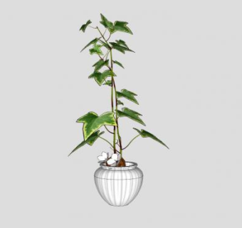 单子叶观叶植物盆栽SU模型下载_sketchup草图大师SKP模型