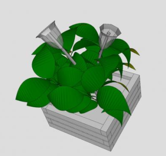 方形木盒植株盆栽SU模型下载_sketchup草图大师SKP模型