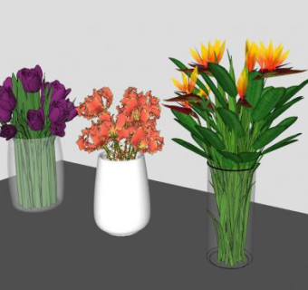 3种花卉盆栽SU模型下载_sketchup草图大师SKP模型