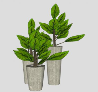 3盆观赏植物盆栽SU模型下载_sketchup草图大师SKP模型