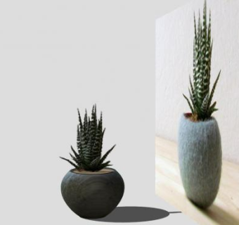 草本植物芦荟盆栽SU模型下载_sketchup草图大师SKP模型