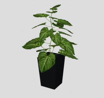 落地观叶植物盆栽SU模型下载_sketchup草图大师SKP模型
