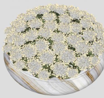 鲜花装饰插花花瓶SU模型下载_sketchup草图大师SKP模型