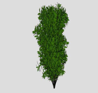 观叶植物灌木SU模型下载_sketchup草图大师SKP模型