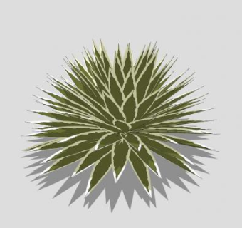 观叶观赏灌木植物SU模型下载_sketchup草图大师SKP模型