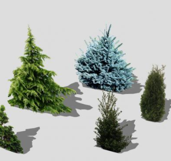 灌木丛植物SU模型下载_sketchup草图大师SKP模型