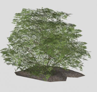 绿叶常绿矮灌木SU模型下载_sketchup草图大师SKP模型