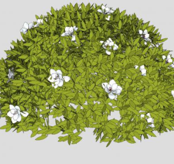 茉莉花攀援灌木SU模型下载_sketchup草图大师SKP模型