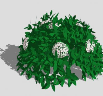 地中海荚迷灌木SU模型下载_sketchup草图大师SKP模型