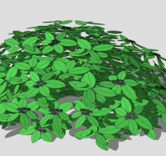 绿叶小灌木SU模型下载_sketchup草图大师SKP模型