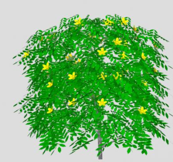 绣线菊属灌木花SU模型下载_sketchup草图大师SKP模型