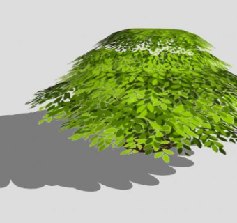 阔叶常绿矮灌木SU模型下载_sketchup草图大师SKP模型
