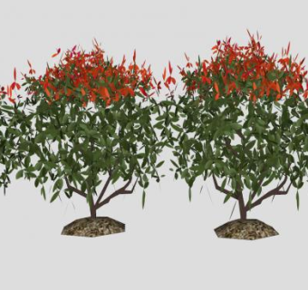 阔叶灌木群SU模型下载_sketchup草图大师SKP模型