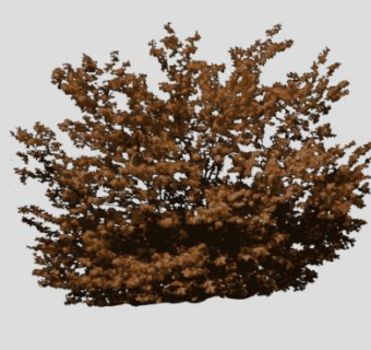 紫色观叶灌木SU模型下载_sketchup草图大师SKP模型