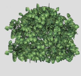 绿叶灌木植物SU模型下载_sketchup草图大师SKP模型
