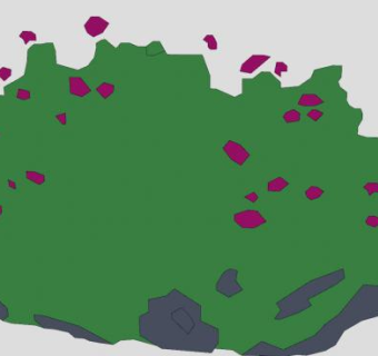 2D常绿灌木植物SU模型下载_sketchup草图大师SKP模型