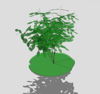 多茎灌木植物SU模型下载_sketchup草图大师SKP模型