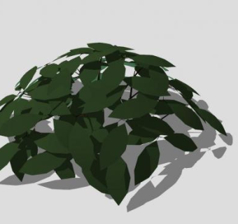 绿叶观叶灌木SU模型下载_sketchup草图大师SKP模型