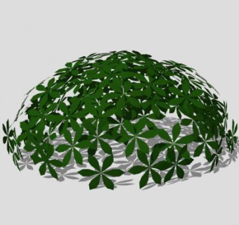 日本灌木山梅花SU模型下载_sketchup草图大师SKP模型
