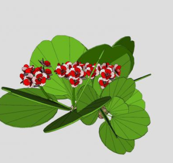 绿叶种子植物SU模型下载_sketchup草图大师SKP模型