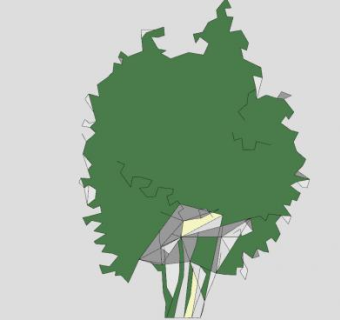 小乔木常绿植物SU模型下载_sketchup草图大师SKP模型