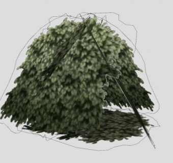 多年生灌木植物SU模型下载_sketchup草图大师SKP模型