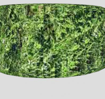 修剪圆柱园艺灌木SU模型下载_sketchup草图大师SKP模型