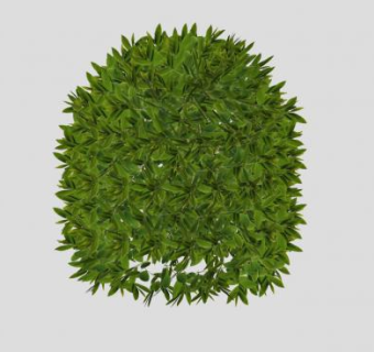 绿叶阔叶灌木植物SU模型下载_sketchup草图大师SKP模型