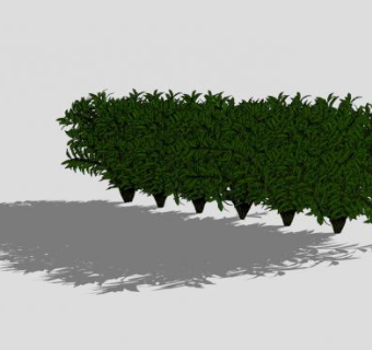 成排灌木丛SU模型下载_sketchup草图大师SKP模型