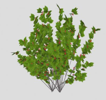 红浆果灌木植物SU模型下载_sketchup草图大师SKP模型