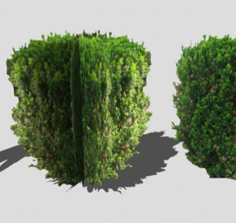 绿地观赏灌木植物SU模型下载_sketchup草图大师SKP模型