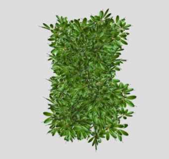 木本植物灌木SU模型下载_sketchup草图大师SKP模型