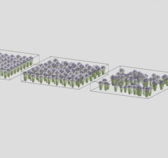 薰衣草花丛SU模型下载_sketchup草图大师SKP模型