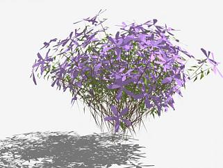 <em>紫色</em>花卉<em>植物</em>SU模型下载_sketchup草图大师SKP模型