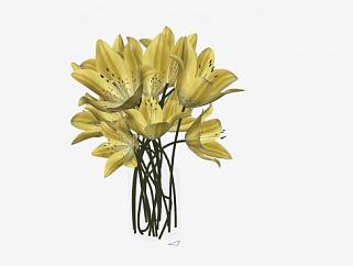 玻璃花瓶黄色花卉SU模型下载_sketchup草图大师SKP模型