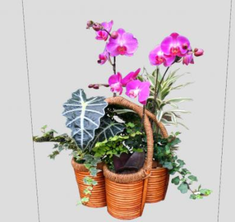 竹制花盆观花观叶植物SU模型下载_sketchup草图大师SKP模型