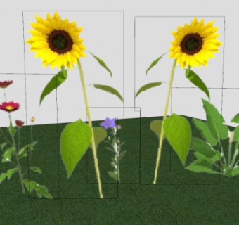 绿地向日葵花叶植物SU模型下载_sketchup草图大师SKP模型