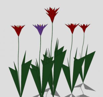 红紫色花叶花卉SU模型下载_sketchup草图大师SKP模型
