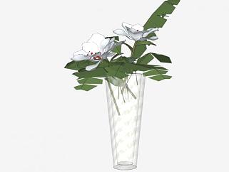 玻璃花瓶白花卉SU模型下载_sketchup草图大师SKP模型