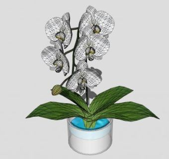 玻璃花瓶盛水白花SU模型下载_sketchup草图大师SKP模型