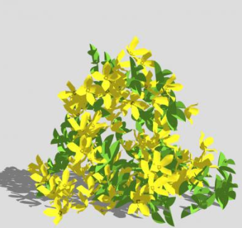 黄色观花灌木SU模型下载_sketchup草图大师SKP模型