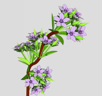树枝绿叶花卉SU模型下载_sketchup草图大师SKP模型