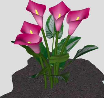 彩色马蹄莲花卉SU模型下载_sketchup草图大师SKP模型