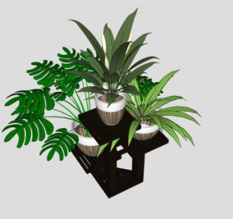 木制花架观叶盆栽SU模型下载_sketchup草图大师SKP模型