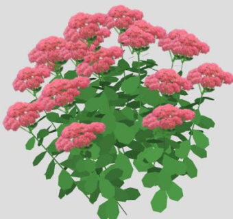 粉红色花卉植物SU模型下载_sketchup草图大师SKP模型